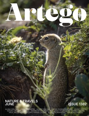 Publication preview