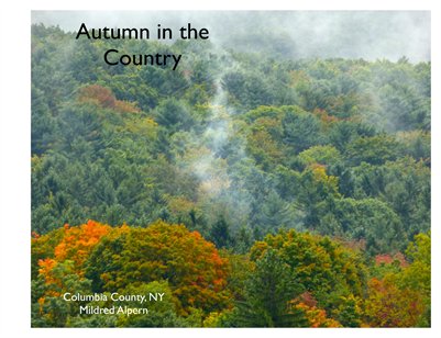 Autumn in the Country