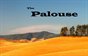 The Palouse