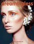 DREAMINGLESS MAGAZINE - ISSUE 29.3