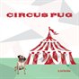 circus pug