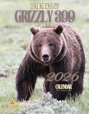 Grizzly Bear 399 2026 Calendar