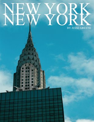 NEW YORK NEW YORK