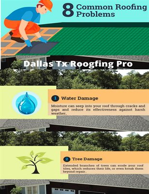 Most Common Roof Damage Problems That Require a Professional Contractor