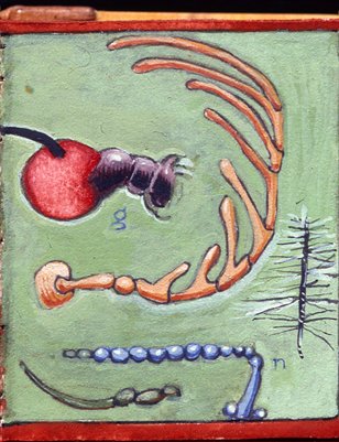 David Beck Bug Book Placemat Collection 3