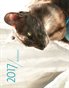 thesilverpaws cat calendar 2017