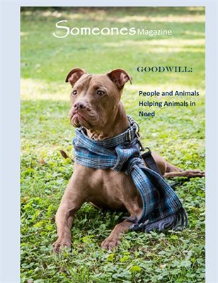 Someones Magazine: Goodwill