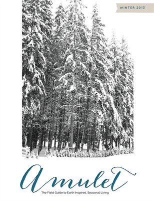 Amulet Winter Mini Guide