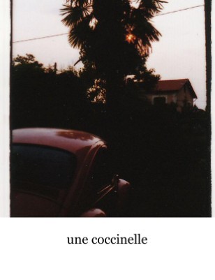 New Publication