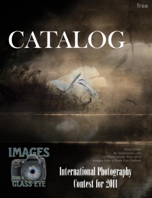 Images from a Glass Eye Catalog 2011