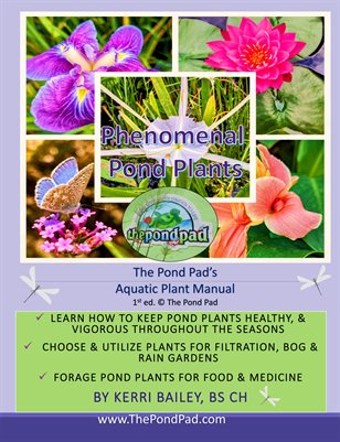 Phenomenal Pond Plants - An Aquatic Plant Manual