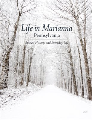 Life in Marianna by Lisa Scherer
