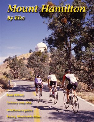 Publication preview