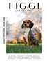 FIGGI MAGAZINE - LOVELY PETS APRIL (Vol 2080)