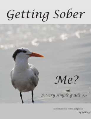 Publication preview