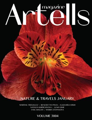 ARTELLS MAGAZINE - NATURE & TRAVELS JANUARY (Vol 3804)