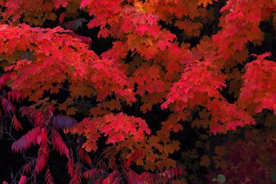 POSTER #31,1. Part 02/04  (36x24 print kit) 