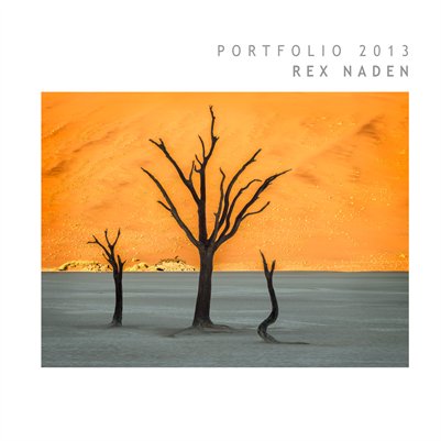 Portfolio 2013
