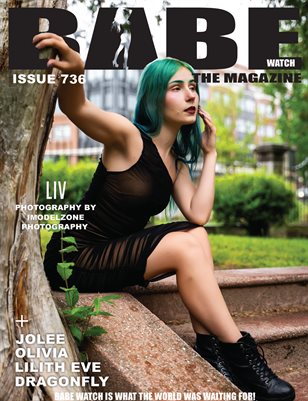 Publication preview