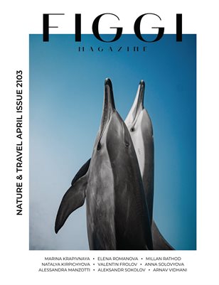 FIGGI MAGAZINE - NATURE & TRAVEL APRIL (Vol 2103)