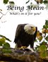Being Mean - what's in it for you?