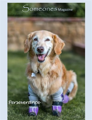 Someones Magazine: Perseverance