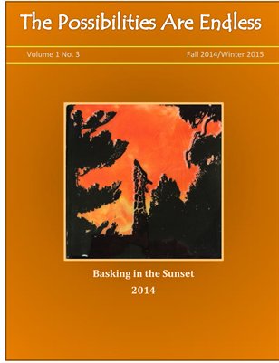 The Possibilities are Endless - Issue 3