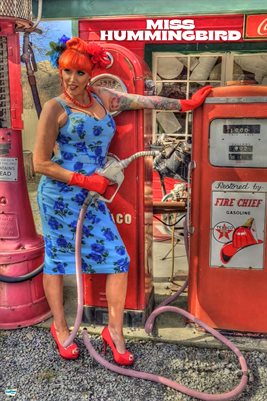 Miss Hummingbird - Poster - DollFace Digest - November 2025