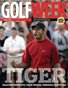 Tiger Woods—The Masters