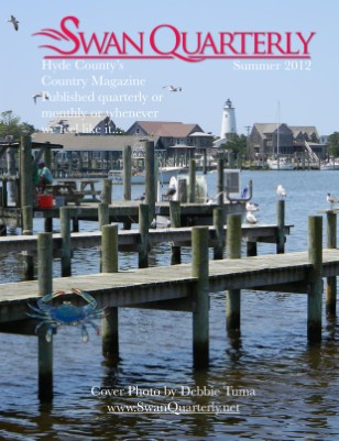 Publication preview
