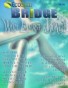 Wind Energy Month