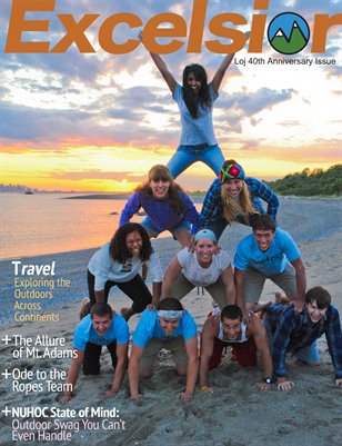 Publication preview