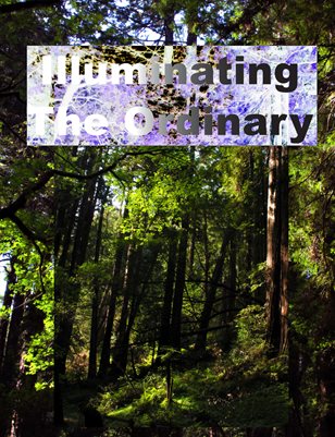 Illuminating The Ordinary