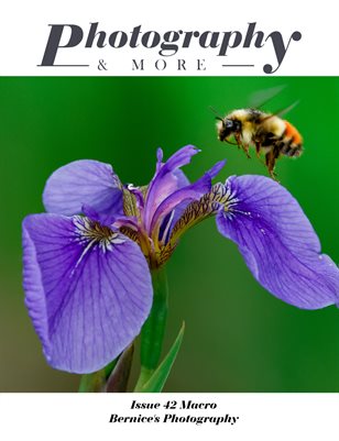 Issue 42 Macro