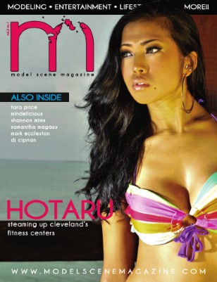 Model Scene Magazine: November/December 2010