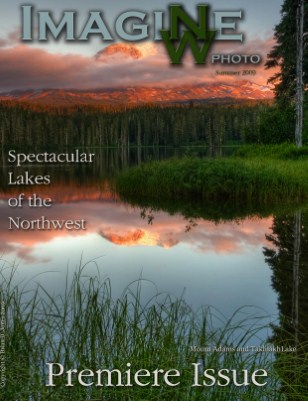 Publication preview
