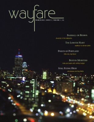 Wayfare
