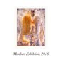 Members Exhibition '19