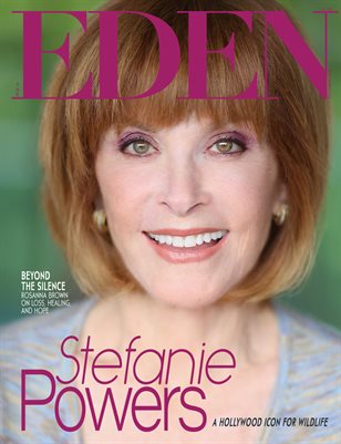 Publication preview