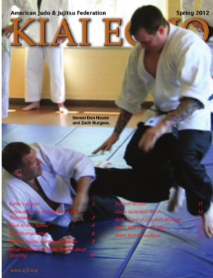 Publication preview