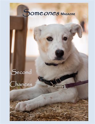 Someones Magazine: Second Chances
