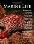 Mrs. Babcock's Marine Life 2012