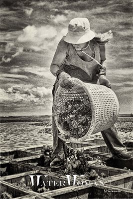 Jeanine Oyster Planting