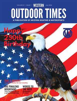 Publication preview