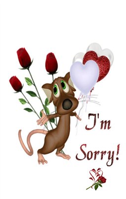 I'm Sorry