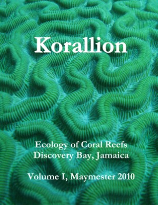 Korallion - Maymester 2010