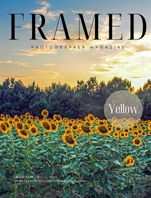 Framed Photographer Magazine | Issue 244 | Yellow