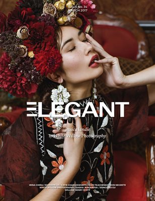 Fashion #14 (March 2017)