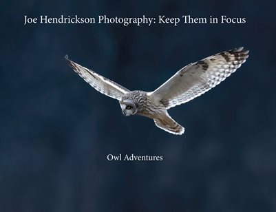 Joe Hendrickson's Owl Adventure