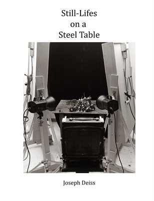 Still-Lifes on a Steel Table